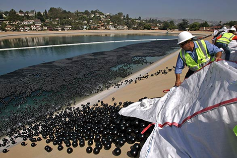 Black Balls