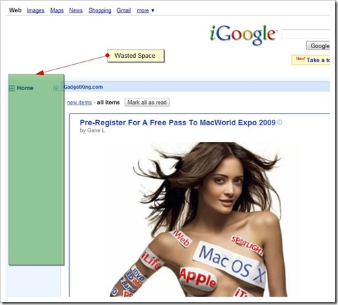 iGoogle space waster