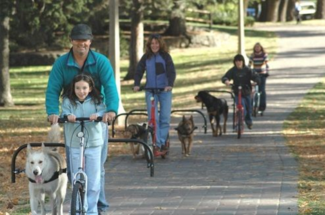 Dog Powered Bike