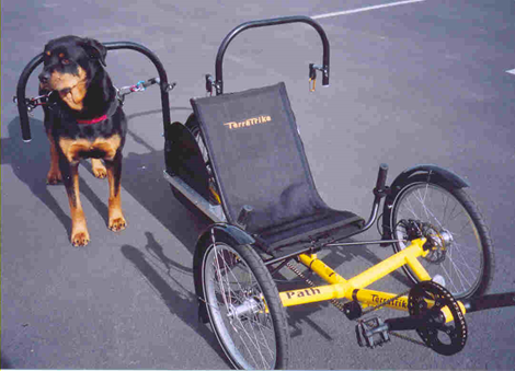 dog powered trike