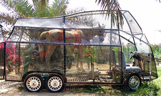One Horsepower Naturmobil