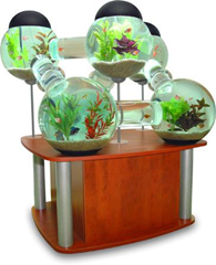 orb aquarium