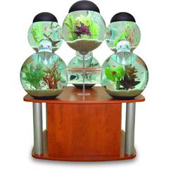 aquarium balls