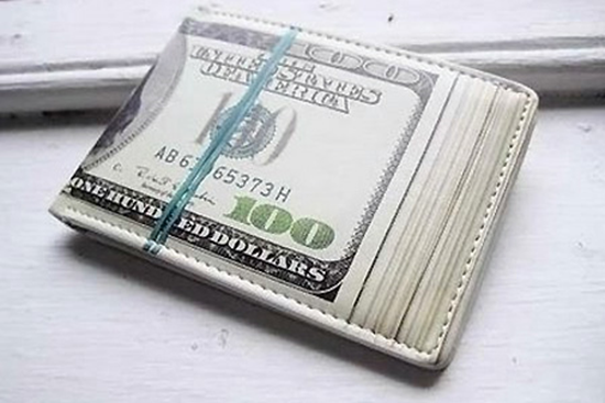 Loaded Wallet Looks like money