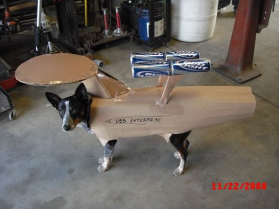Star Trek Dog Costume