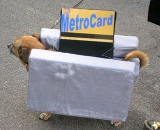 Metro Card Dog Costume