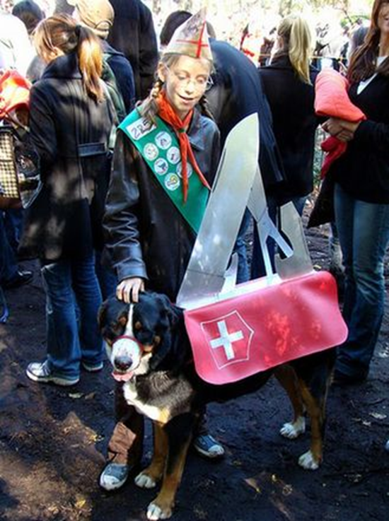 Swiss Army Dog Costume
