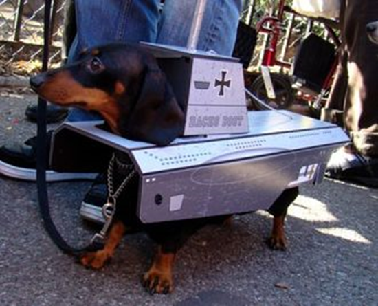 Submarine Dashshund Costume