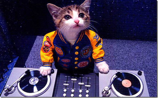 DJ Hero Cat