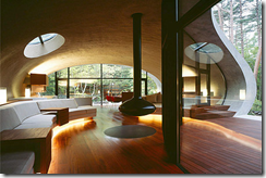 Japan Future House