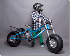 Hanebrink Electric Bike Blue