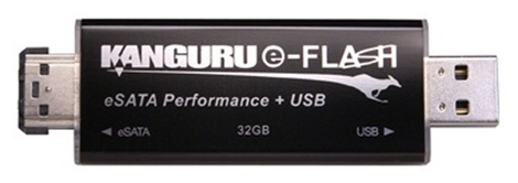 Kanguru eSata and USB Flash Drives