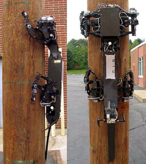 Boston Dynamics’ RiSE v3 – Pole Climbing Robot