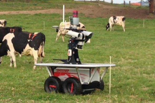 Cattle Round Up Robot