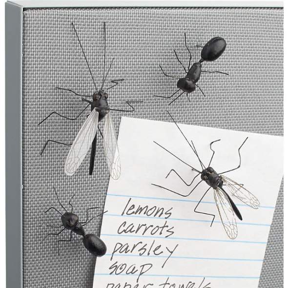 Insect Push Pins