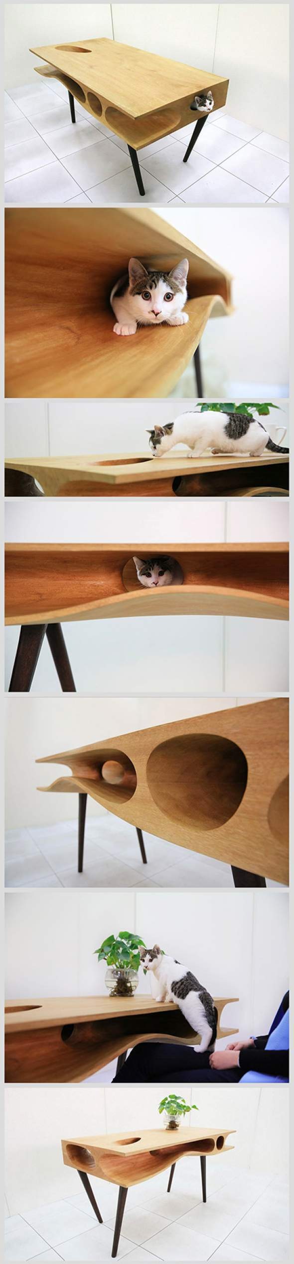 CATable_Cat_Table