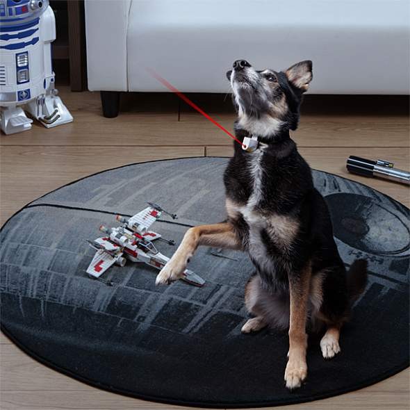 laser pet collar