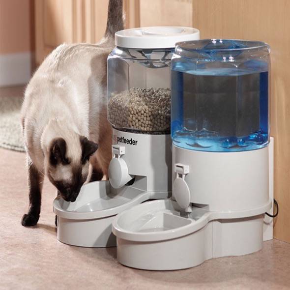 Ergo Auto Pet Feeder Review