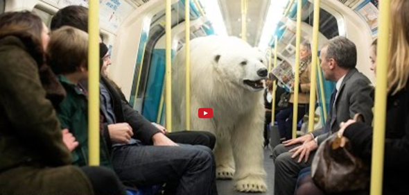 Fake London Polar Bear