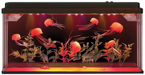 Jellyfish Aquarium