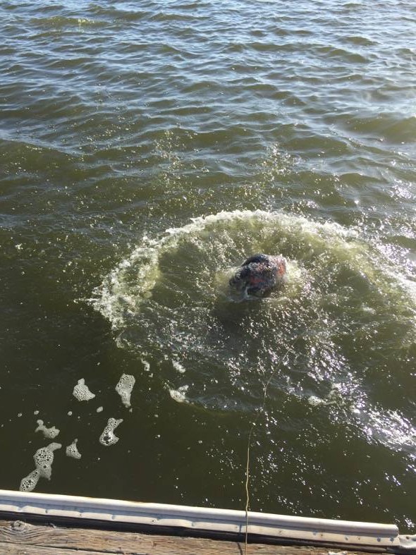 OGIO All Elements Pack Floating
