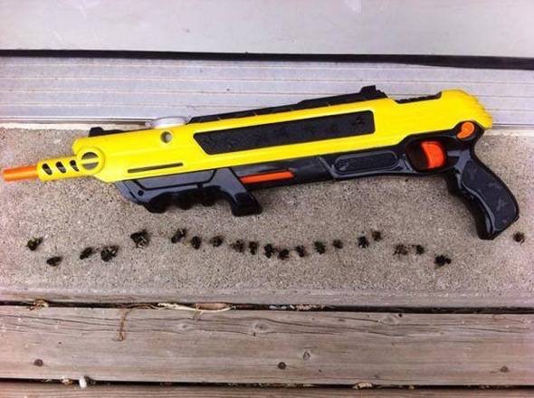 bug-a-salt fly gun