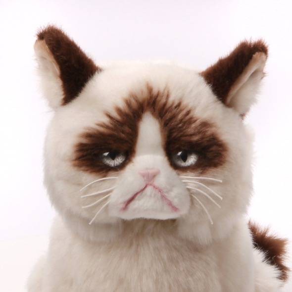 Grumpy Cat Stuffed Animal