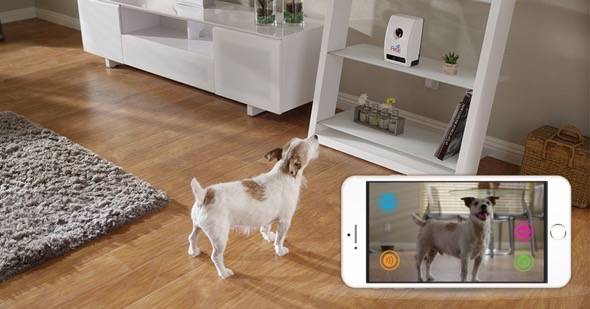 The Petzi Treat Cam