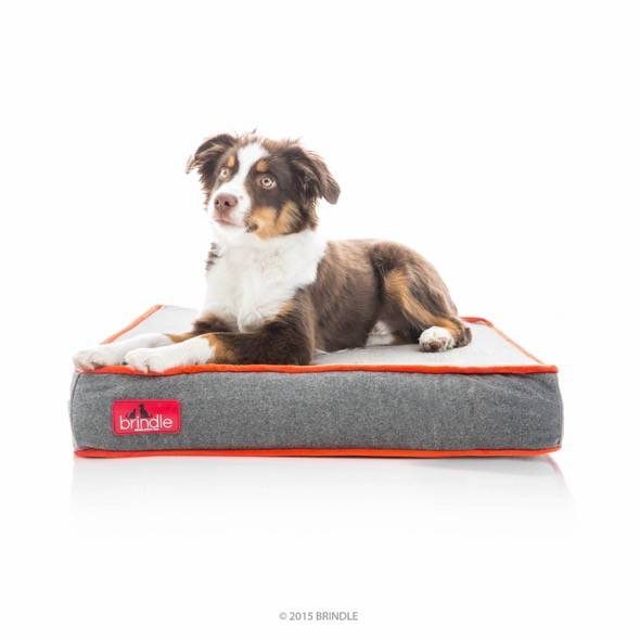 Brindle Waterproof Designer Memory Foam Pet Bed 4