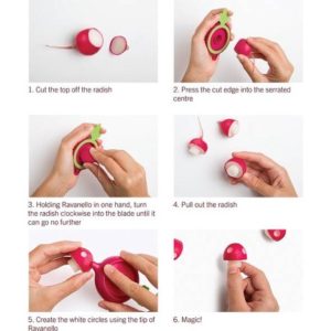 Radish to Super Mario Mushroom