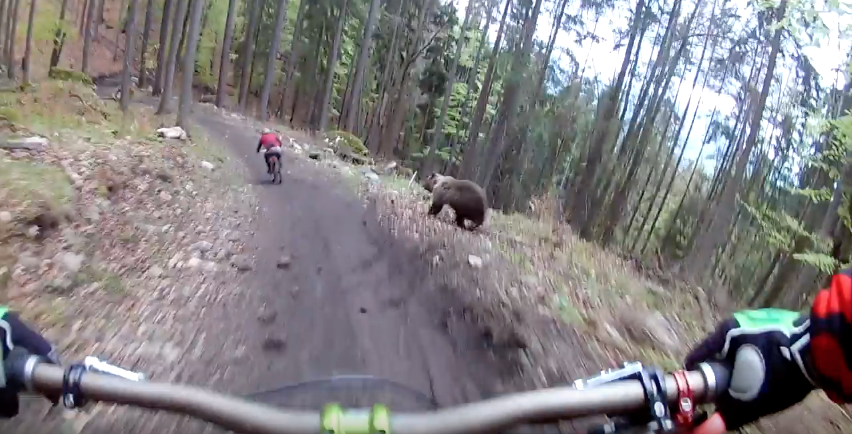 Mountain Biker Narrowly Avoids Becoming Bear Food