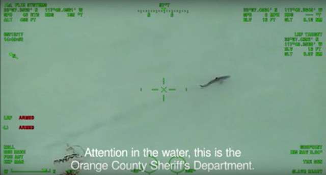police-warning-paddleboarders-sharks