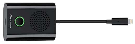 Pioneer Rayz Rally Lightning Conference Speaker 1