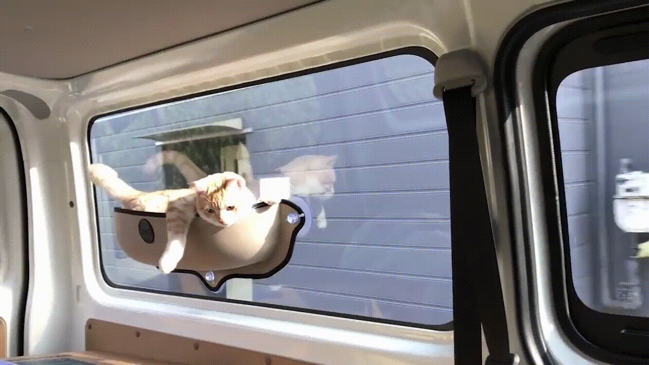 Suction Cup Cat Bed For Windows