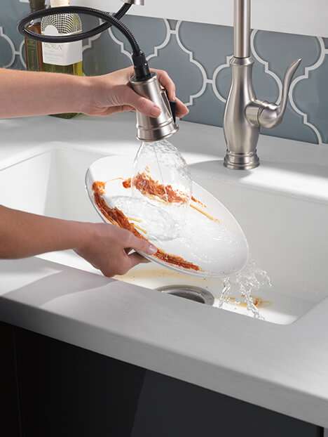 Delta ShieldSpray Faucet 2