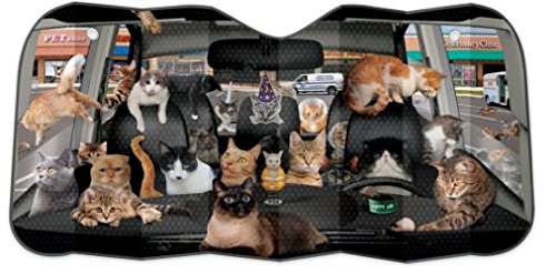 Car full of cats sunshade Shade