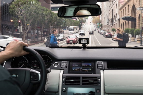 Owl Car Cam City View