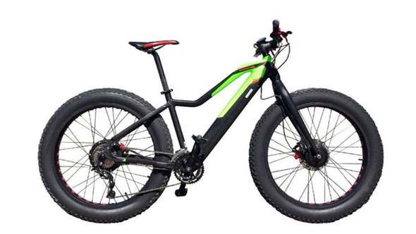 easy-motion-evo-awd-big-bud-ebike-side