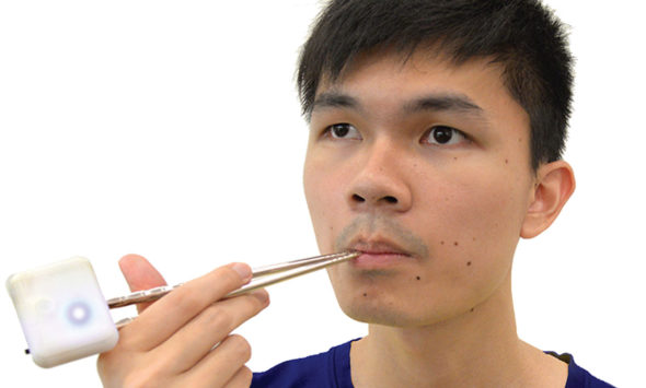 Food Hacking Chopsticks Fake Salt Taste