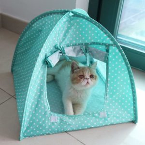 Green Cat Camp Tent 2