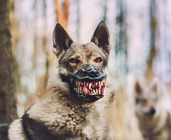 Scary Dog Muzzle