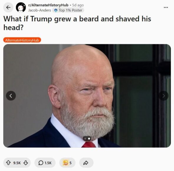 Donad Trump Shaved Head and Beard
