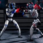 2026 World Humanoid Robot Games Boxing