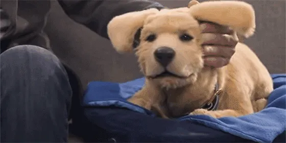 Tombot Jennie Robot Puppy