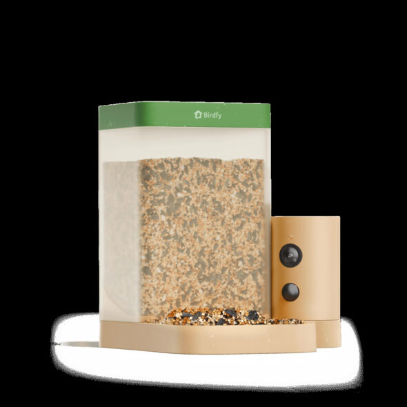 Birdfy Rookie smart bird feeder on a backyard pole with a bright songbird mid-peck and phone app overlay