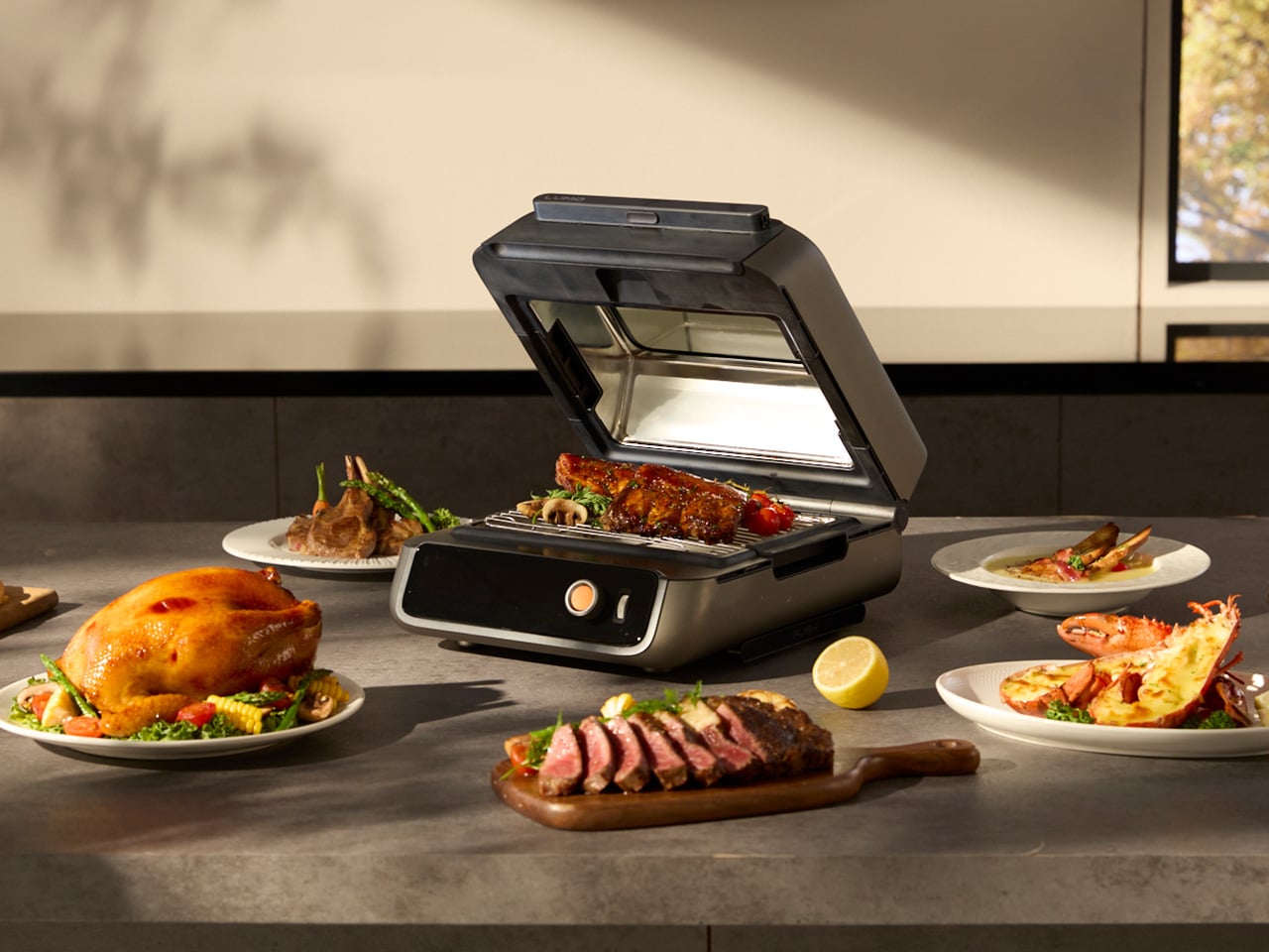 COZYTIME LUMO Flavor Module pellet smoker insert
