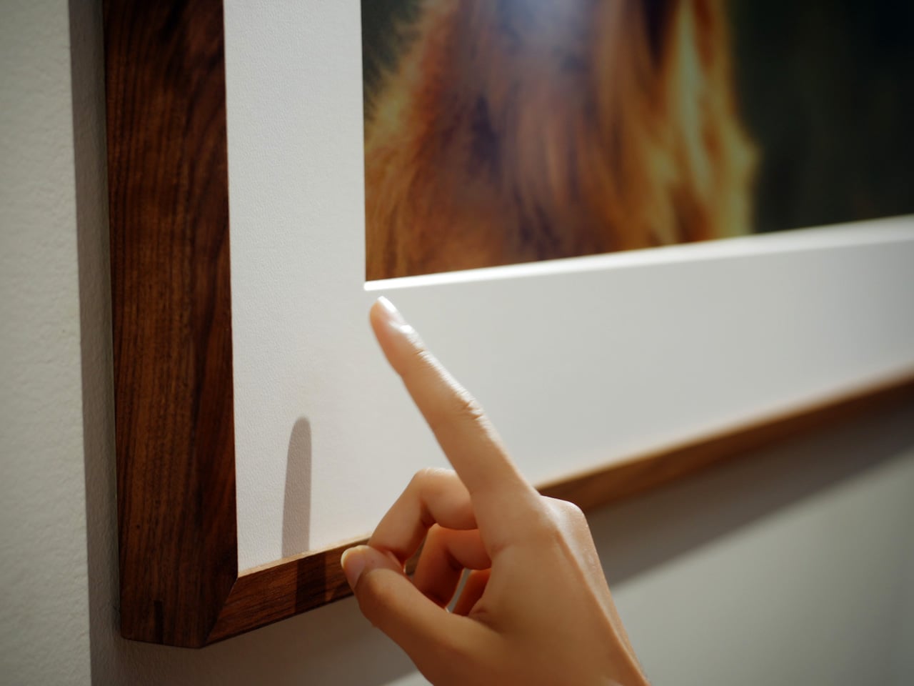 Jitrainno Echo Smart Canvas wood frame detail with matte e-ink panel