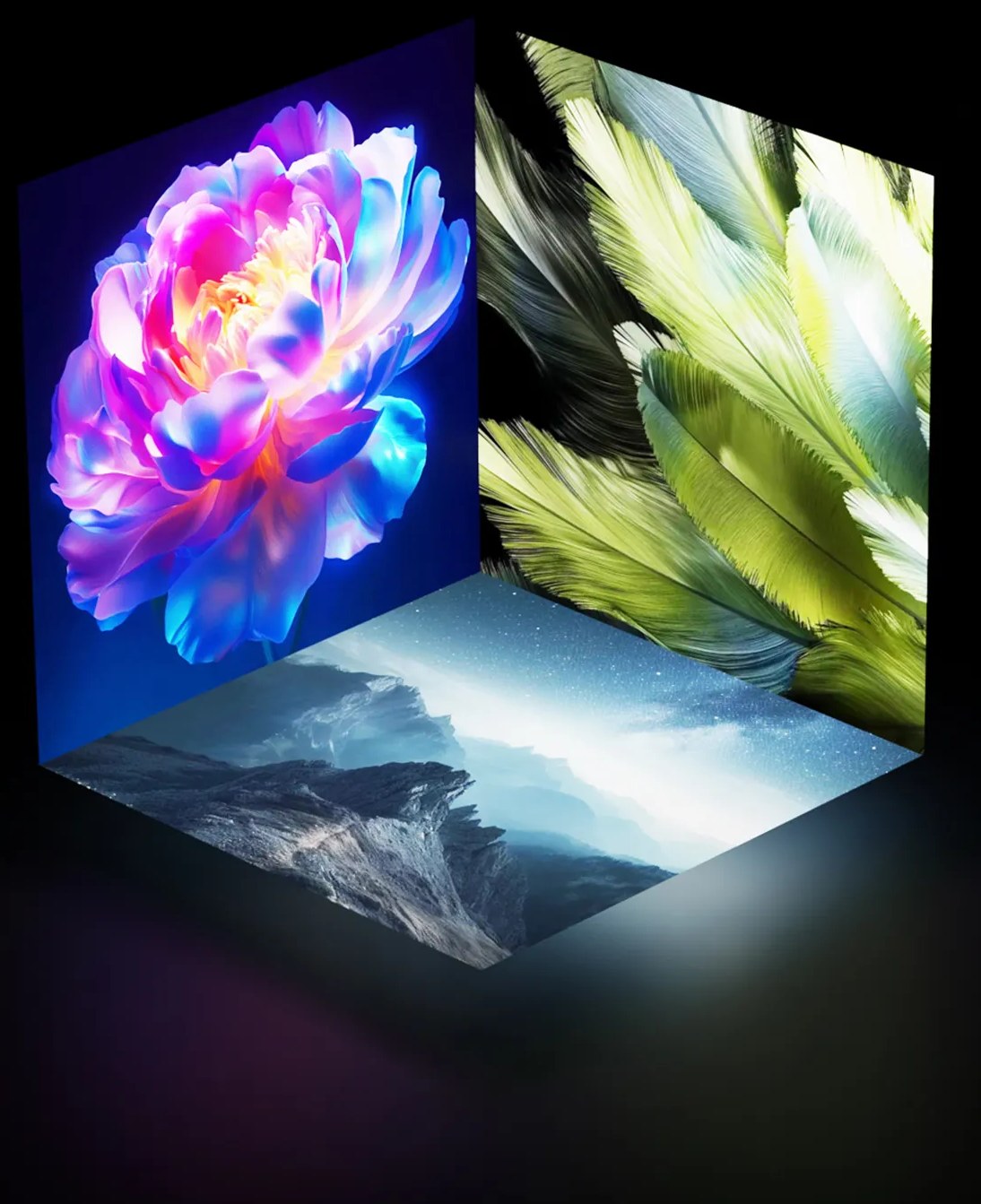 EXIT D3 Pro triple display showing synchronized flower and landscape artwork