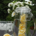 Fruit Infusion Pitcher