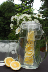 Fruit Infusion Pitcher
